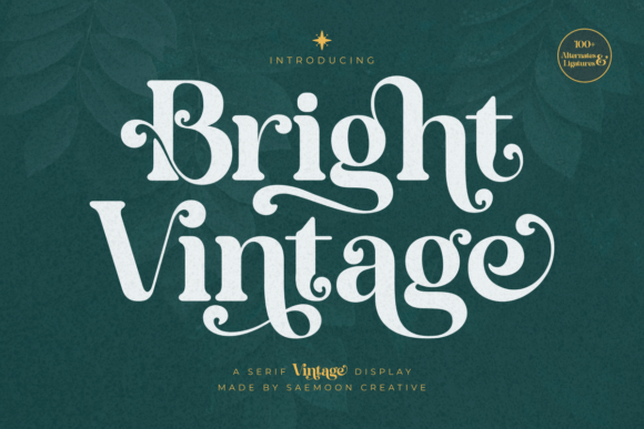 Bright Vintage: A Display Font That Elevates Campaign Visuals with Timeless Charm