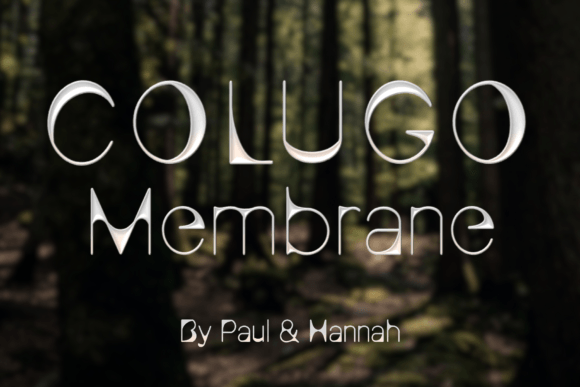 Colugo Membrane: A Display Font with Editorial Flair