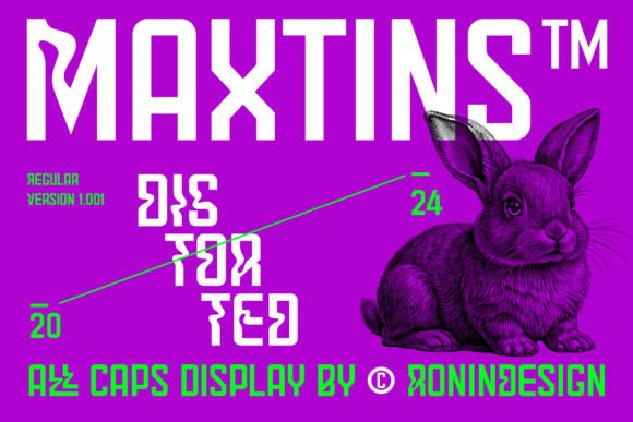 Maxtins: The Display Font That Powers Bold Campaign Visuals
