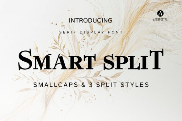 Smart Split: A Designer’s Take on This Bold Display Font